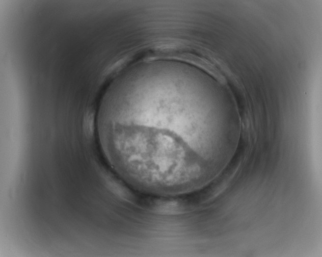 X0000115850454200911201617