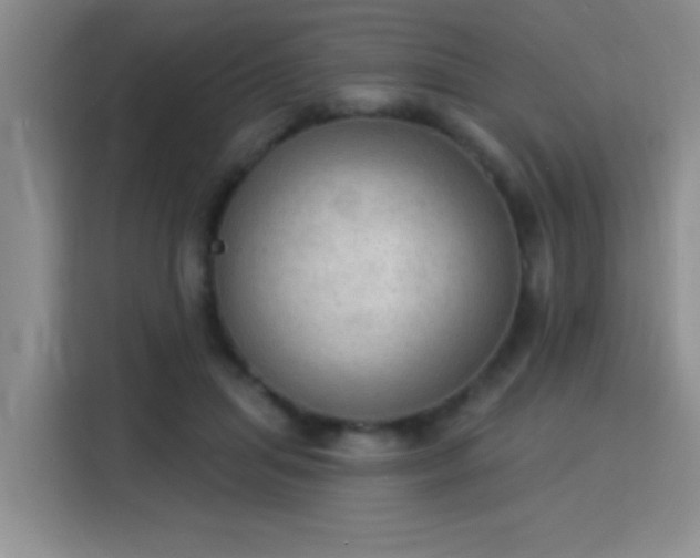 X0000115850455200911201617
