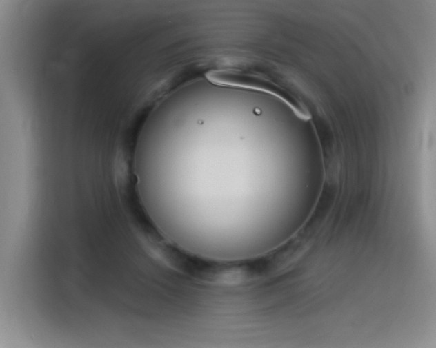 X0000115850456200911201617
