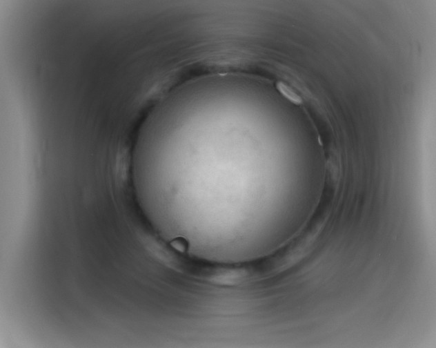 X0000115850458200911201617