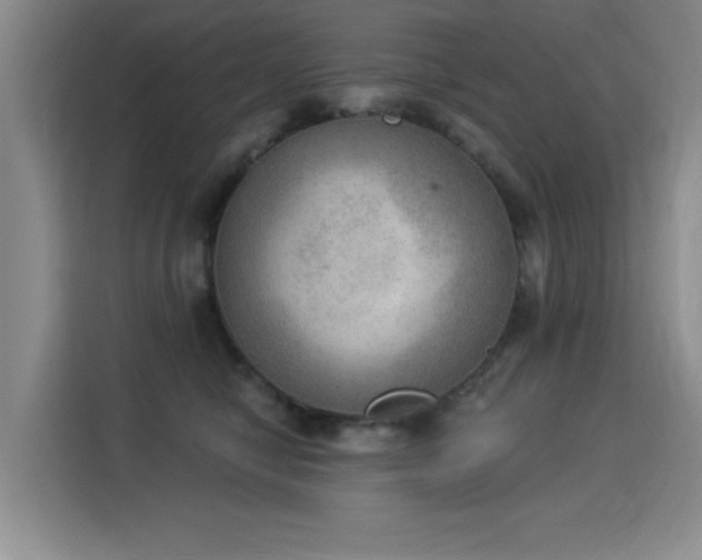 X0000115850470200911201617