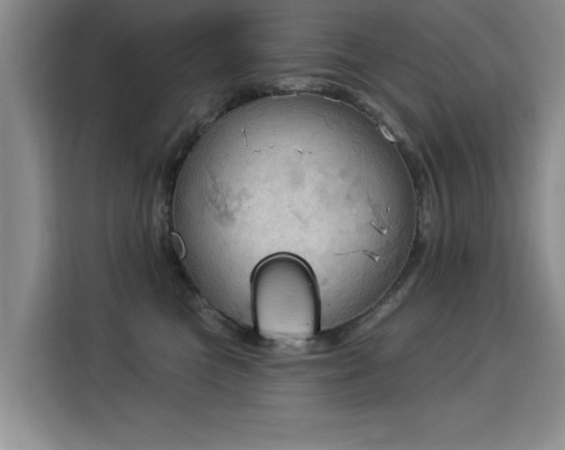 X0000115850473200911201617