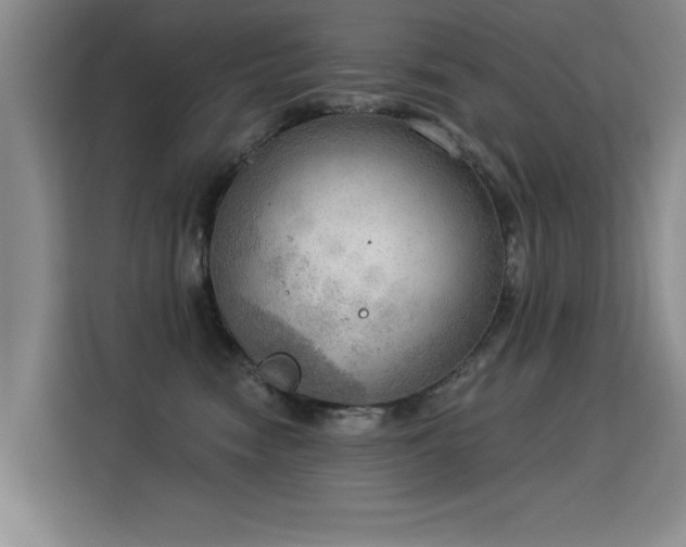 X0000115850474200911201617