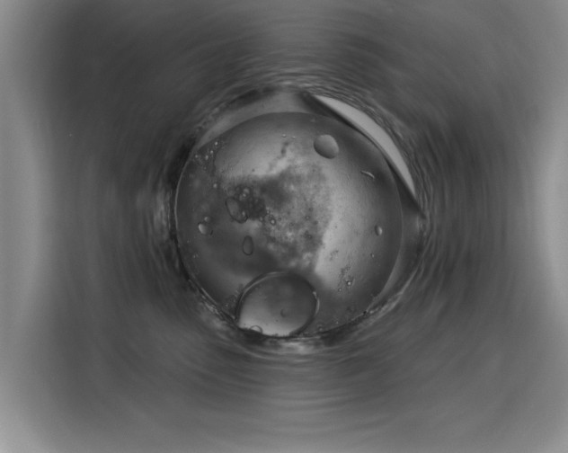 X0000115850475200911201617