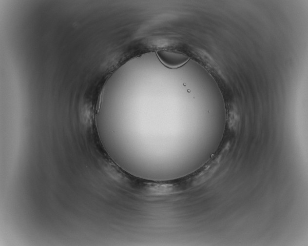 X0000115850476200911201617