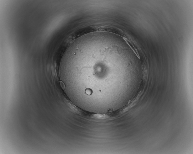 X0000115850477200911201617