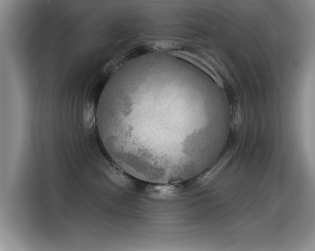 X0000115850478200911201617