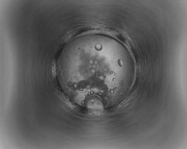 X0000115850479200911201617
