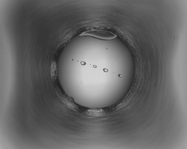 X0000115850480200911201617
