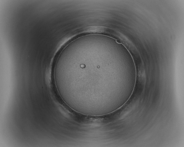 X0000115850484200911201616