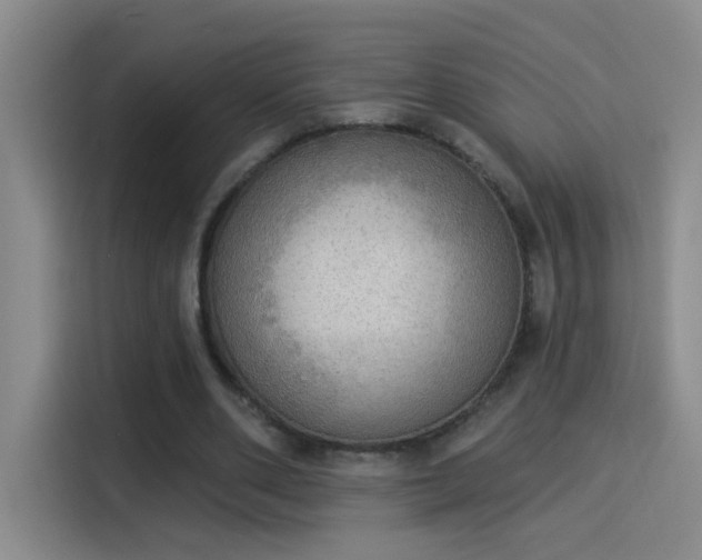 X0000115850486200911201616