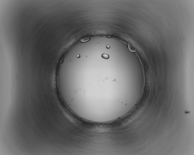 X0000115850489200911201616