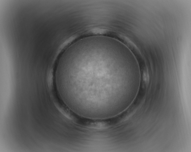 X0000115850492200911201616
