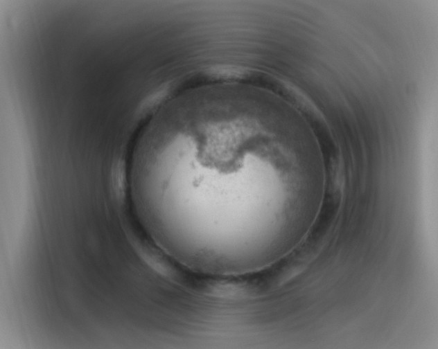 X0000115850494200911201616