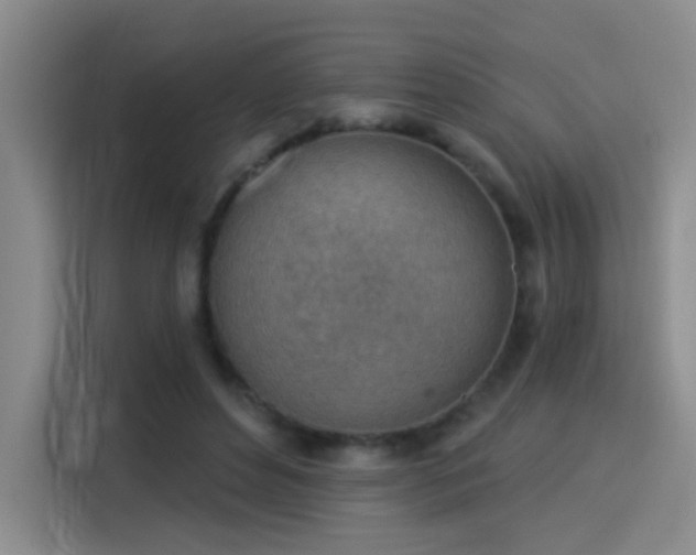 X0000115850496200911201616