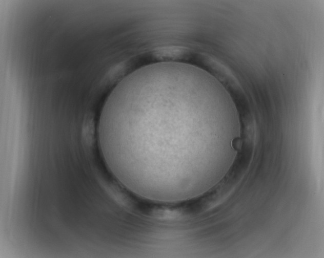 X0000115850498200911201616