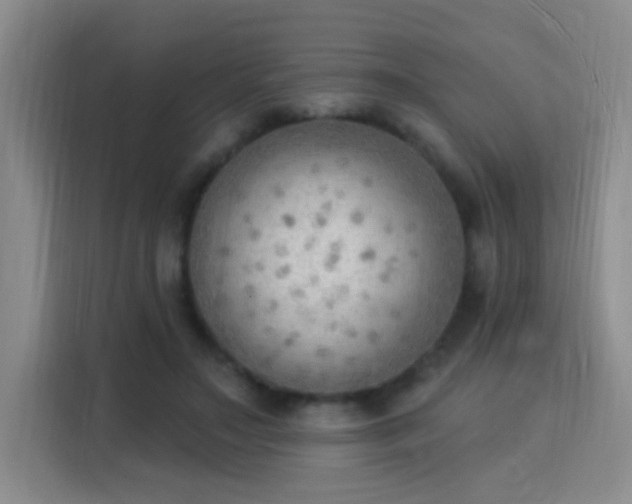 X0000115850499200911201616
