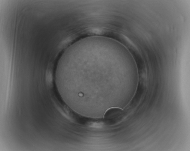 X0000115850500200911201616
