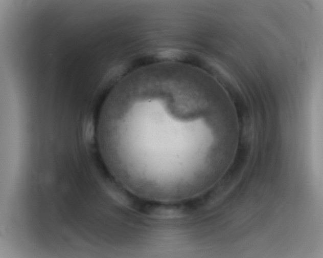 X0000115850502200911201616