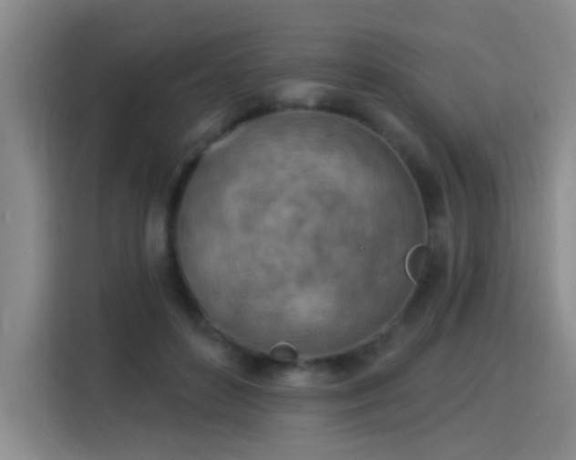X0000115850504200911201616