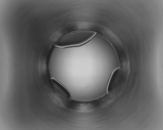 X0000115850508200911201616