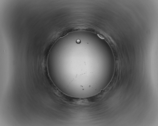 X0000115850517200911201616