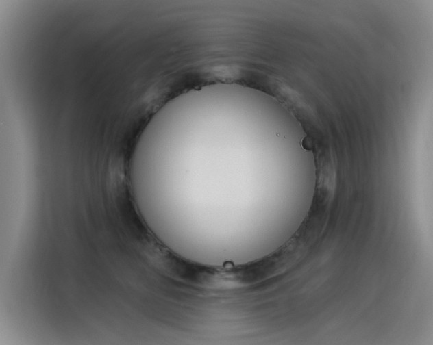 X0000115850518200911201616