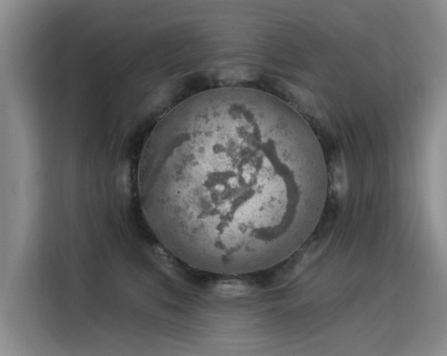 X0000115850519200911201616