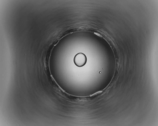 X0000115850520200911201616