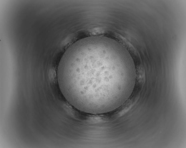 X0000115850523200911201616