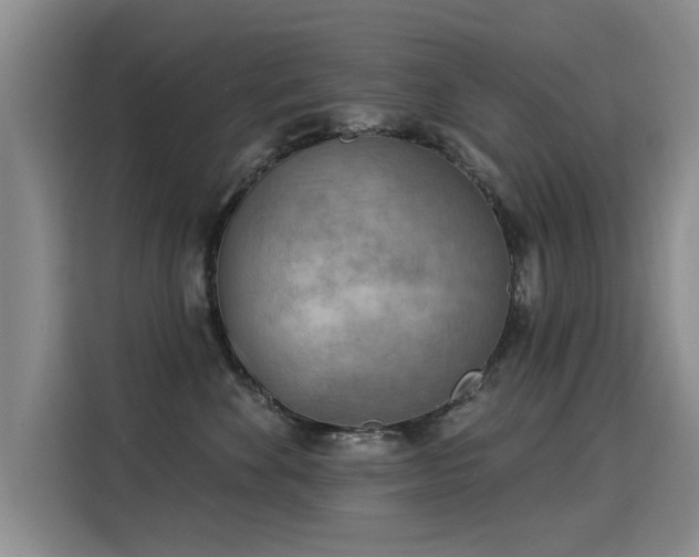 X0000115850524200911201616