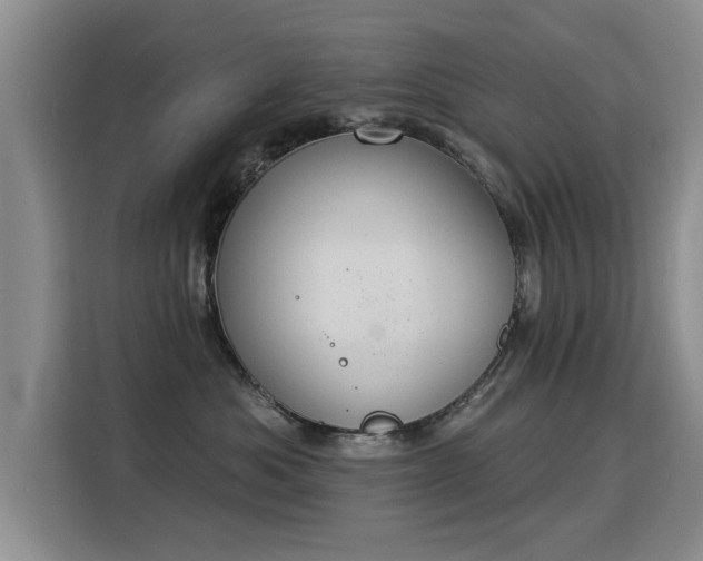 X0000115850525200911201616