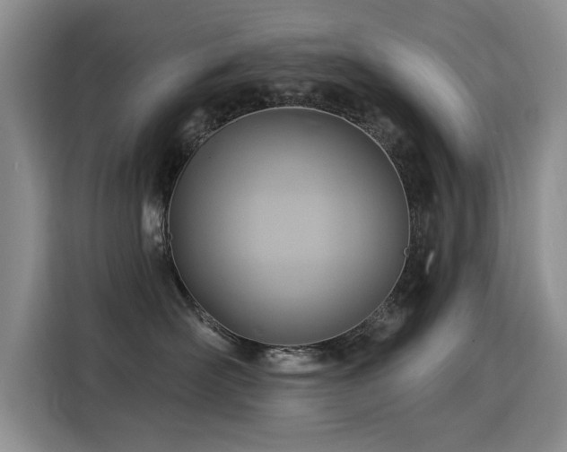 X0000115850526200911201616