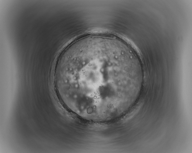 X0000115850529200911201615