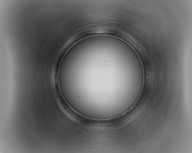 X0000115850530200911201615