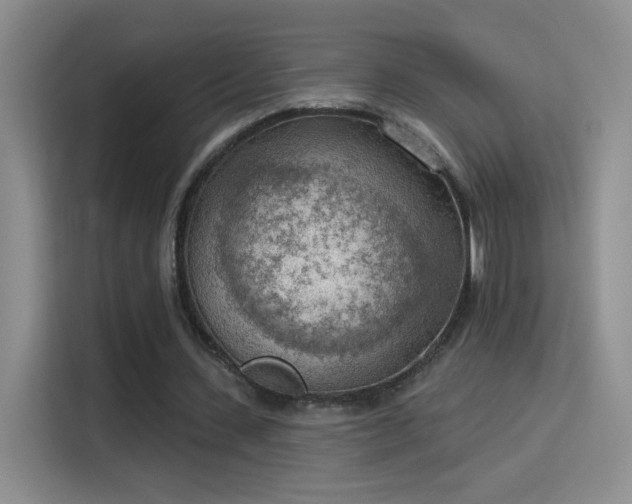 X0000115850531200911201615