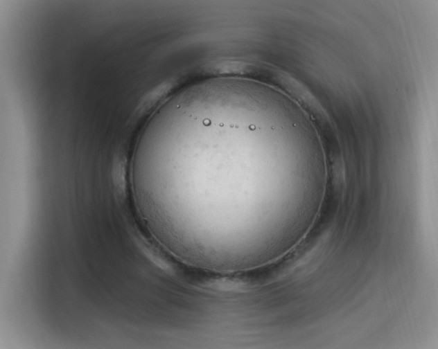 X0000115850537200911201615