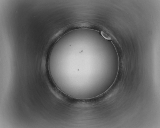 X0000115850538200911201615