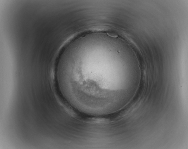 X0000115850539200911201615