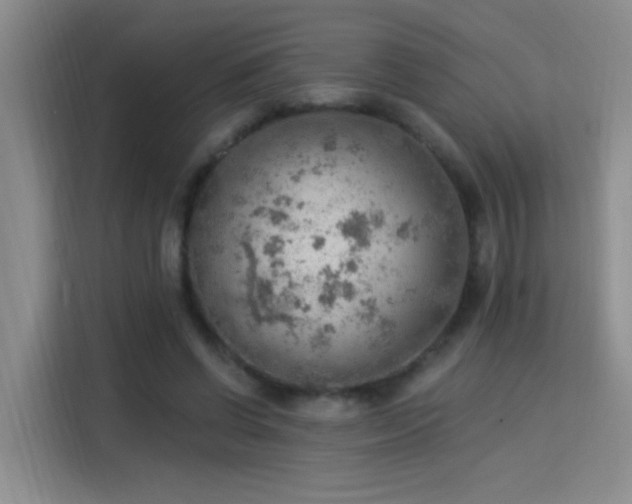 X0000115850542200911201615