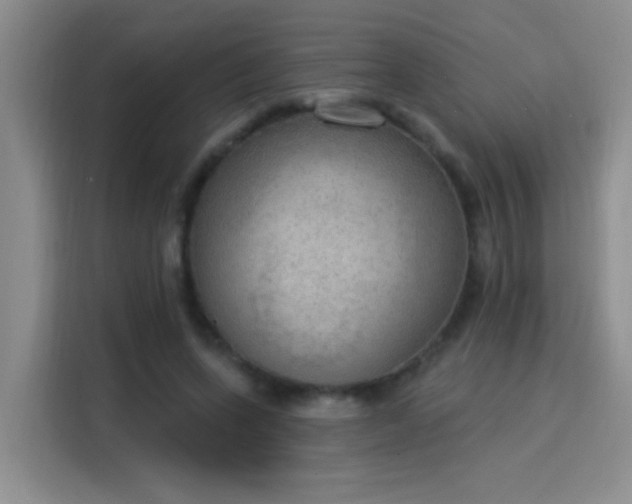 X0000115850543200911201615