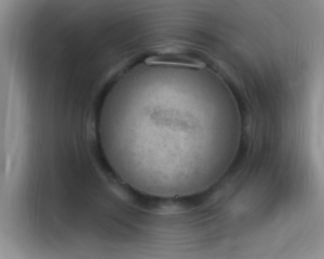X0000115850547200911201615