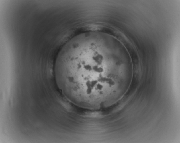 X0000115850553200911201616