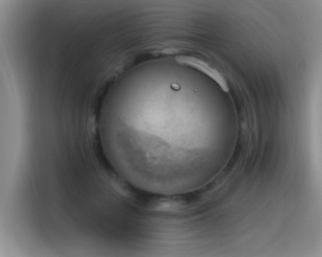 X0000115850555200911201616