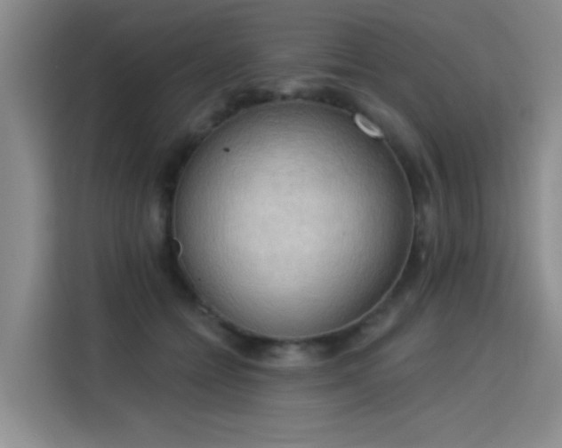 X0000115850558200911201616