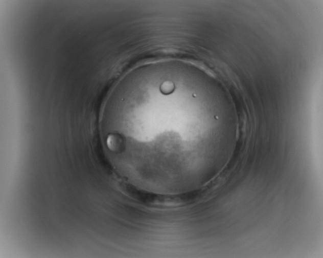 X0000115850559200911201616