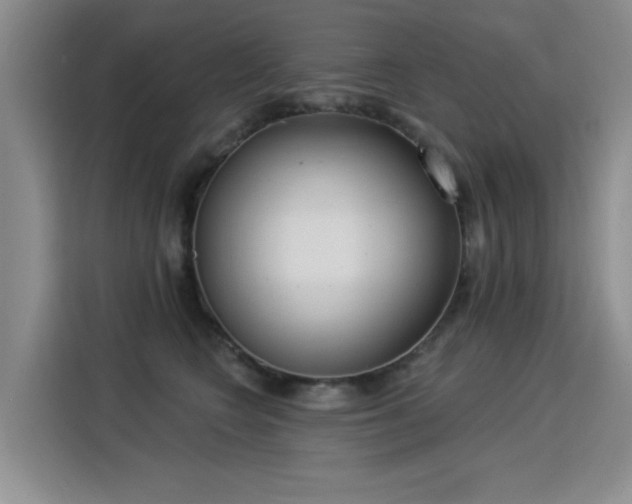 X0000115850566200911201616