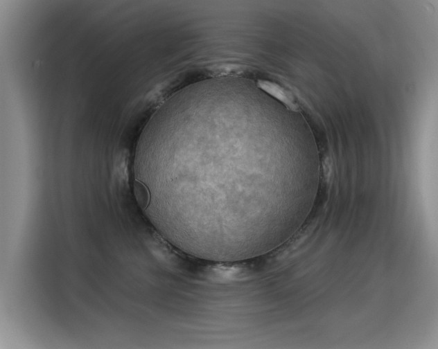X0000115850570200911201616