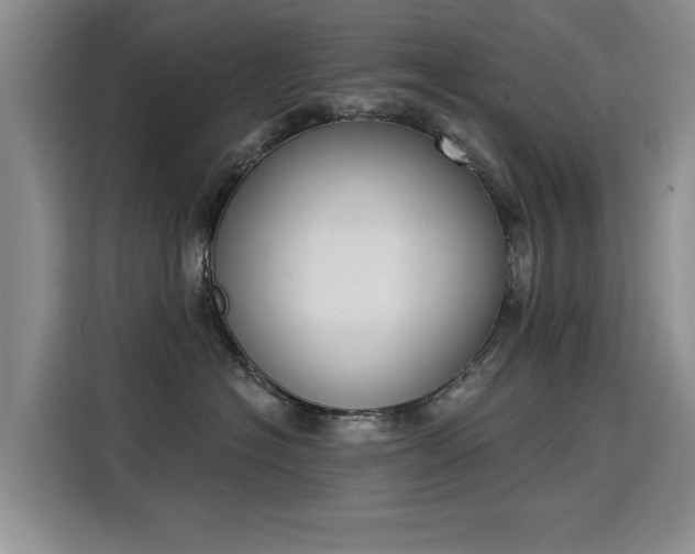 X0000115850574200911201616