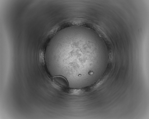 X0000115850575200911201616